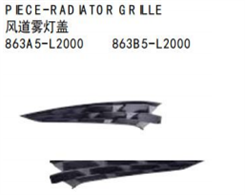 PIECE-RAD ATOR GRILLE FOR KA K5 2020