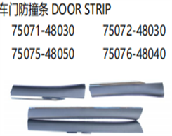 DOOR STRIP FOR RX 2010"